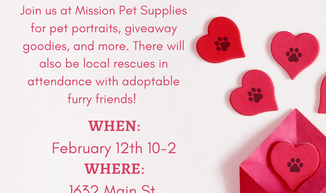 Celebration of Love at Mission Pet Supplies